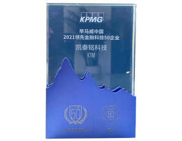 毕马威领先金融科技50企业