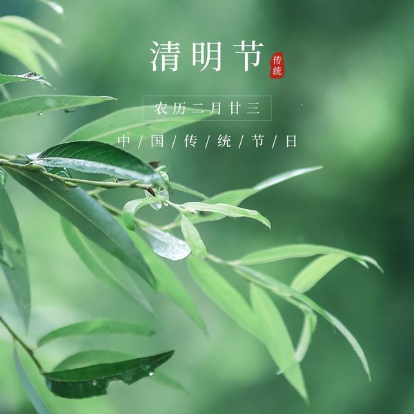 凯泰铭科技祝大家清明安康