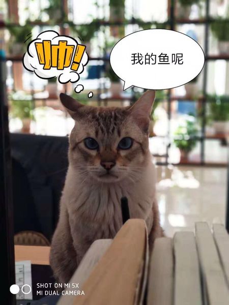 【吉祥物】这就是缘分！