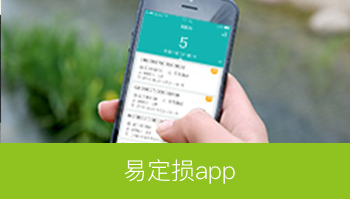 易定损