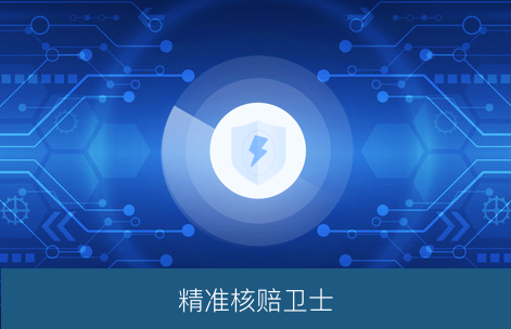 精准核赔卫士